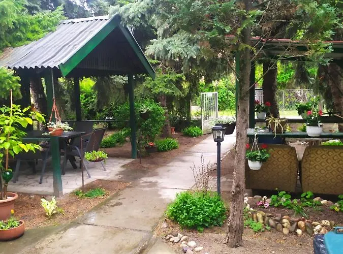 Joky Katona & アパート Palić