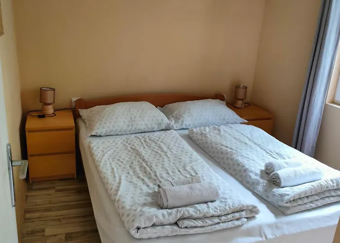 Joky Katona & Palić